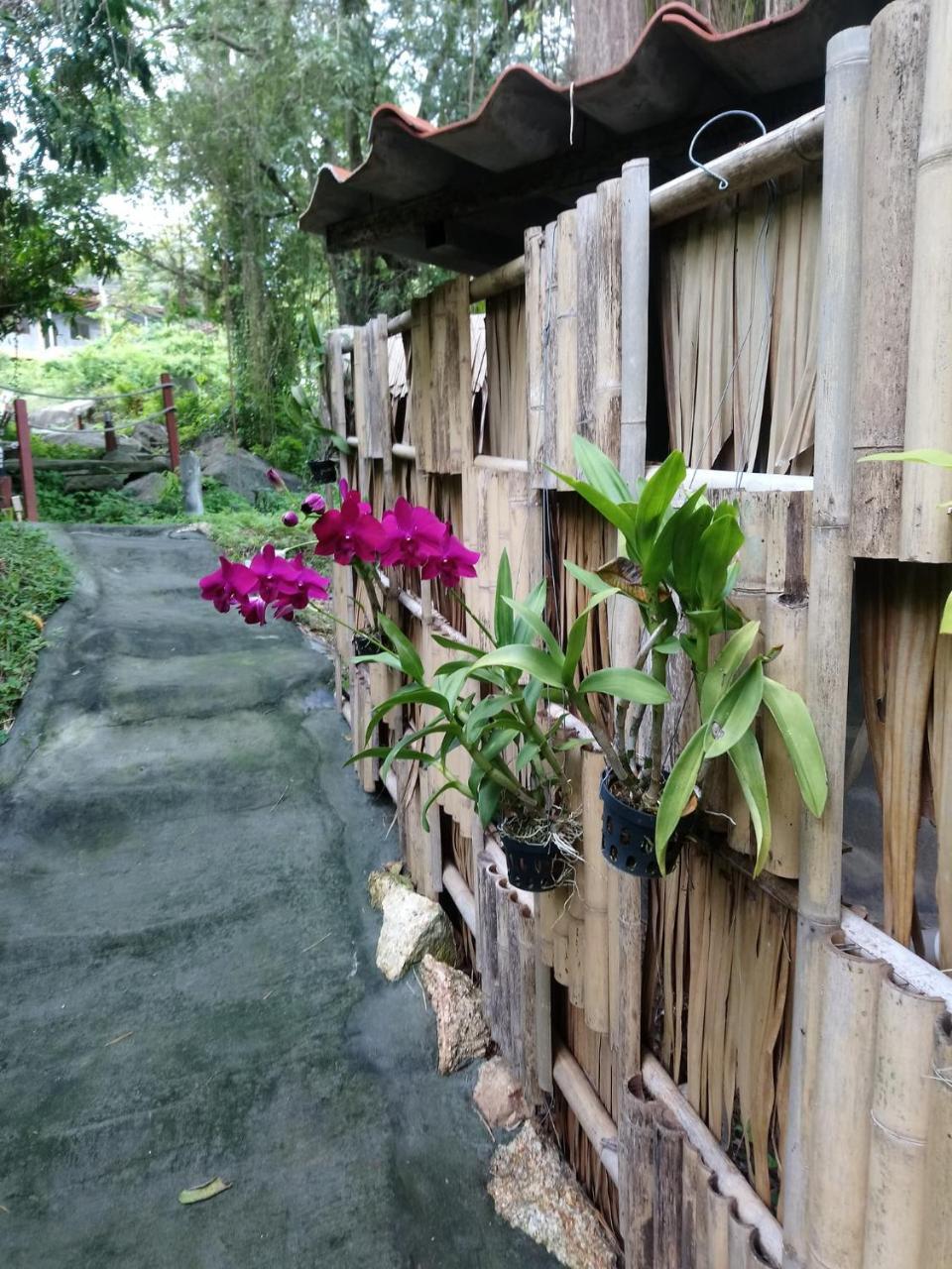 Koh Phangan Pavilions Serviced Apartments Thong Nai Pan Noi Luaran gambar